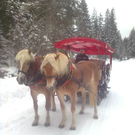 Haus Sonnental Appartement