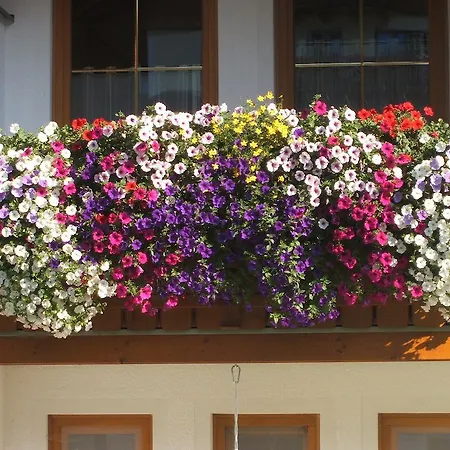 Appartement Haus Sonnental Filzmoos