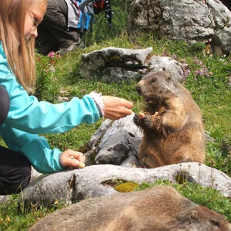 Appartement Haus Sonnental